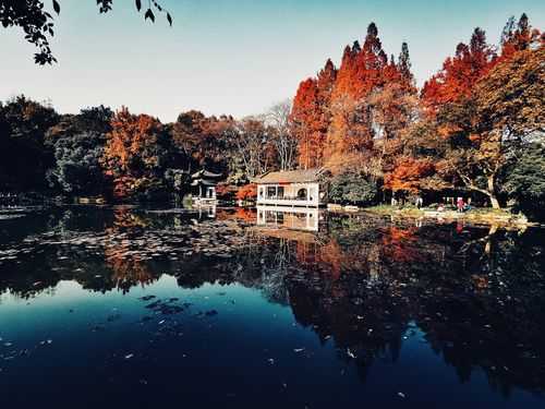 杭州西湖秋天的景色（西湖秋景图片）
