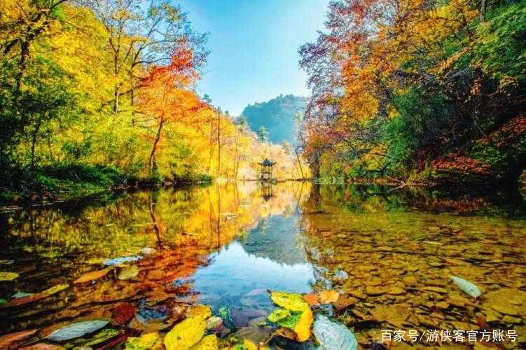 中国十大最美秋色（最美的秋景图片）
